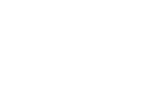 Northern Lights Gaming logo